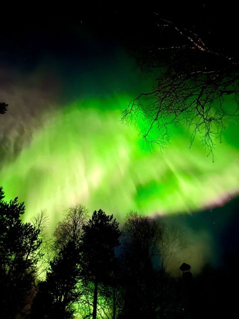 Rovaniemi Hunting Aurora at the Best Spots - Stop two: wider sky and a second chance