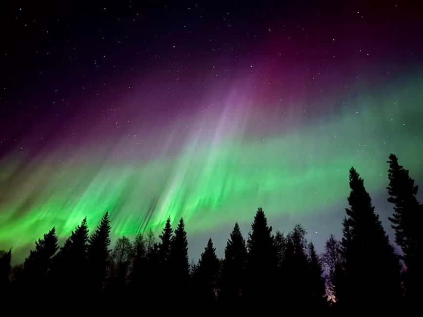 Rovaniemi Hunting Aurora at the Best Spots - What the guide adds to the night