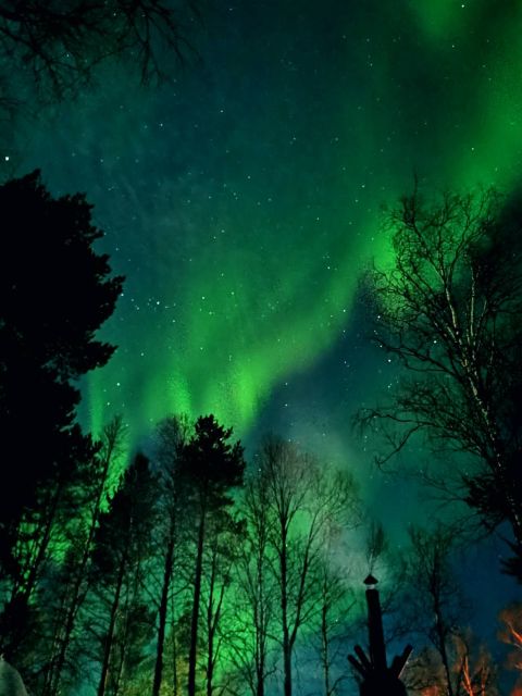 Rovaniemi Hunting Aurora at the Best Spots - Who should choose this aurora hunt