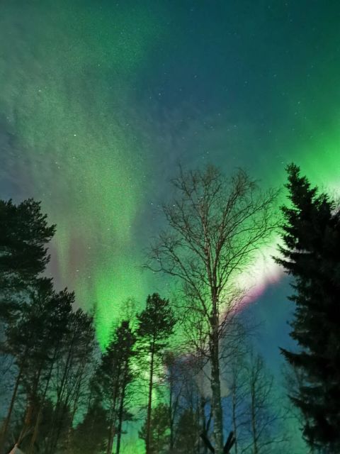 Rovaniemi Hunting Aurora at the Best Spots - Should you book Rovaniemi Hunting Aurora at the Best Spots?