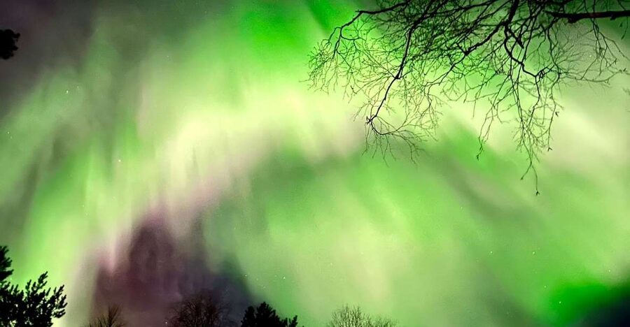 Rovaniemi Hunting Aurora at the Best Spots - Stop one: a lake and forest setting