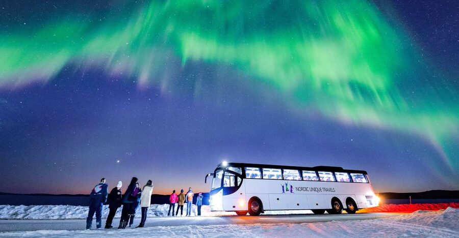 Rovaniemi: Hunting Northern Lights Bus Tour - What the Northern Lights hunt is really like
