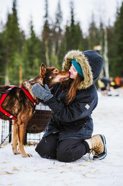 Rovaniemi: Husky and Reindeer farm with sleigh ride - Riding a wooden sled behind reindeer