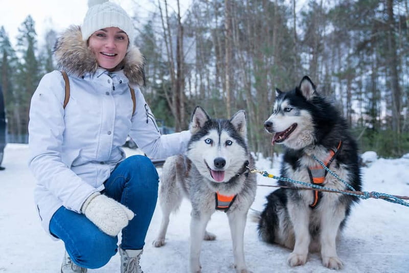 Rovaniemi: Husky Farm and Reindeer Experience - Key points at a glance