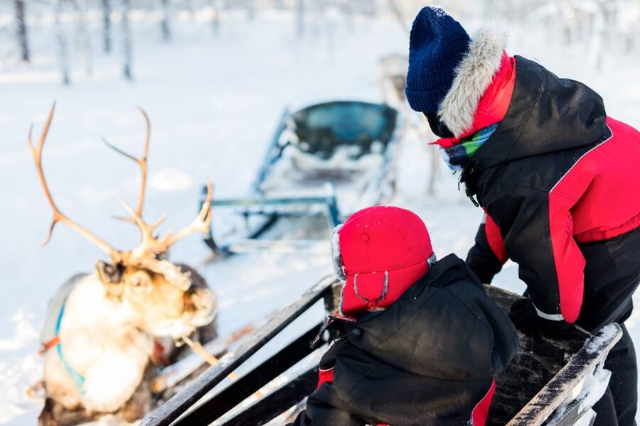 Rovaniemi: Husky & Reindeer Experience with Snowmobile Ride - Feeling the pull of the Alaskan Huskies