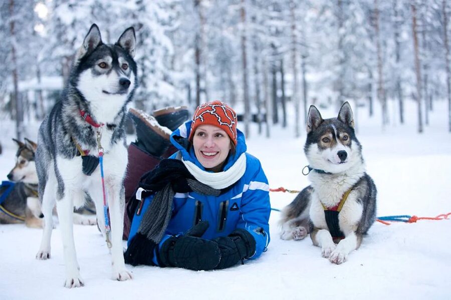 Rovaniemi: Husky Safari on a Snowy Trail - Transport and the 3.5-hour schedule