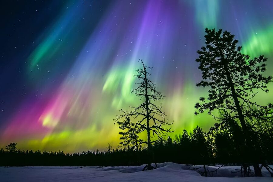 Rovaniemi: Ice Floating in Forest Lake with Aurora Borealis - Watching for the Northern Lights from the water