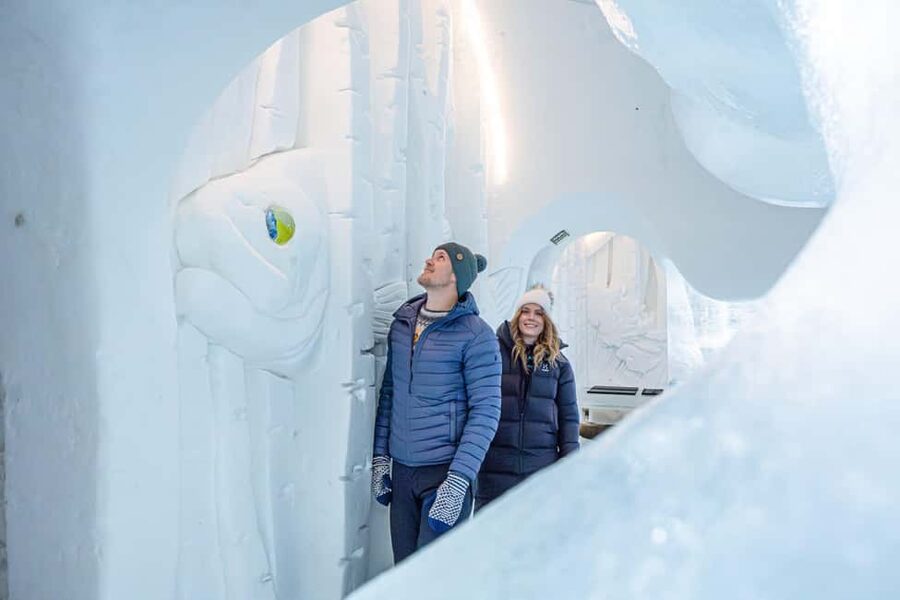 Rovaniemi: Ice sculpting experience - Practical tips for a smoother visit