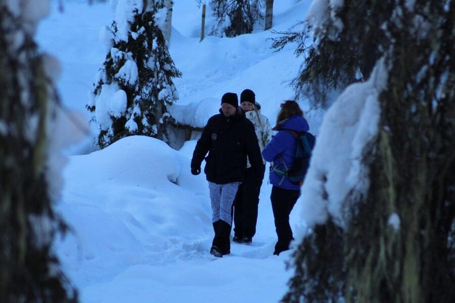 Rovaniemi: Korouoma Canyon Frozen Waterfalls Guided Hike - Should you book the Korouoma frozen waterfalls hike?