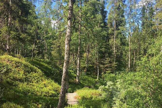 Rovaniemi Korouoma Canyon Hike and Barbecue Experience - Walking 4 to 6 kilometers through Korouoma Canyon
