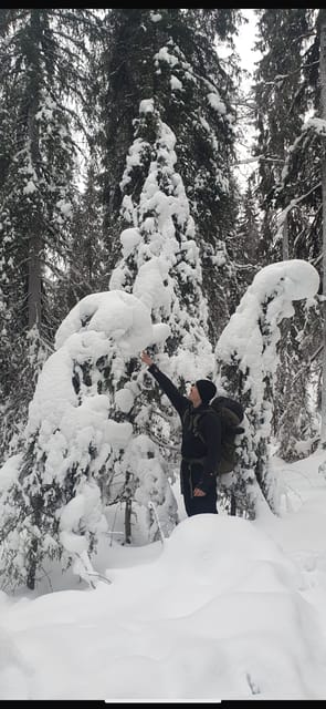 Rovaniemi: Korouoma Frozen Waterfalls Hike & Hot BBQ Lunch - Four hours among icefalls and snowy forest