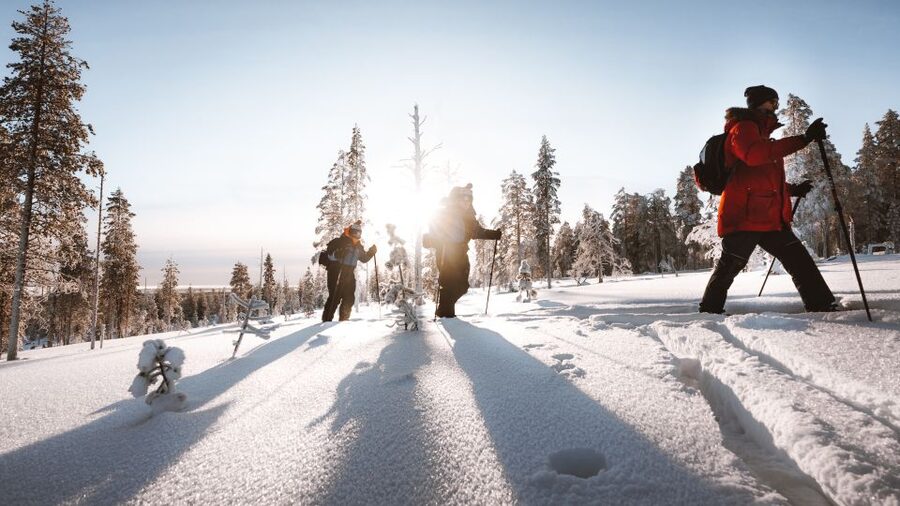 Rovaniemi: Lapland Ski Trekking Safari - What the Campfire Stop Adds