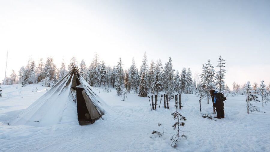 Rovaniemi: Lapland Ski Trekking Safari - Is $128 Good Value?