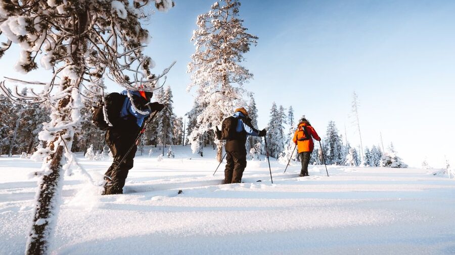 Rovaniemi: Lapland Ski Trekking Safari - Who Will Enjoy It Most?