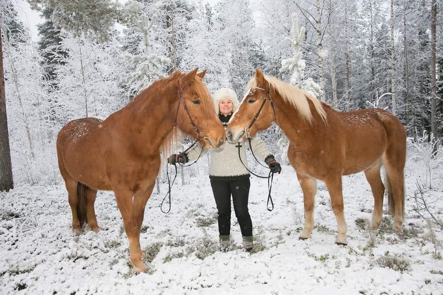 Rovaniemi: Late Night Ride with Finnhorses - The Campfire Finish Near Santa Claus Village