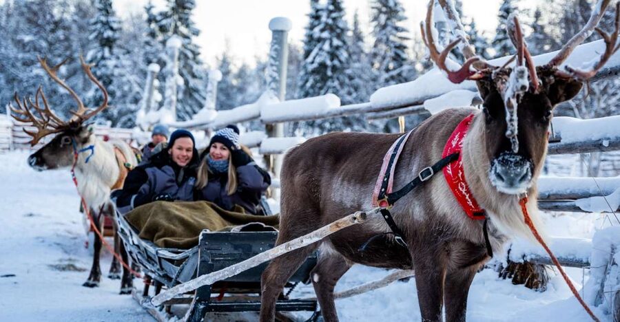 Rovaniemi: Local Reindeer Farm Visit with Sleigh Ride - A warm break in the kota hut