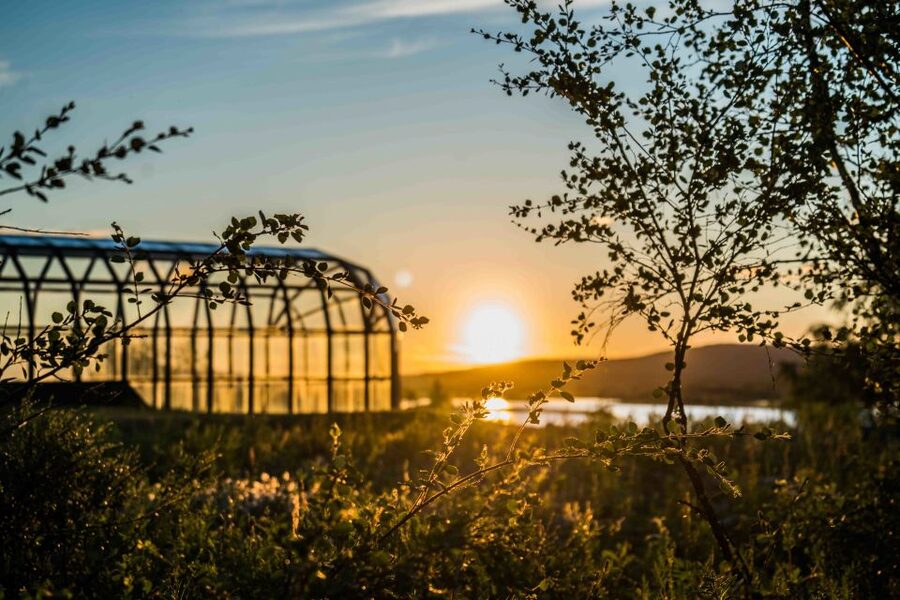 Rovaniemi: Midnight Sun Photography Tour - Learning to photograph soft evening light
