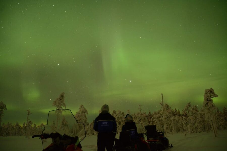 Rovaniemi: Night Snowmobile Tour - The cost, clothing, and cold-weather reality