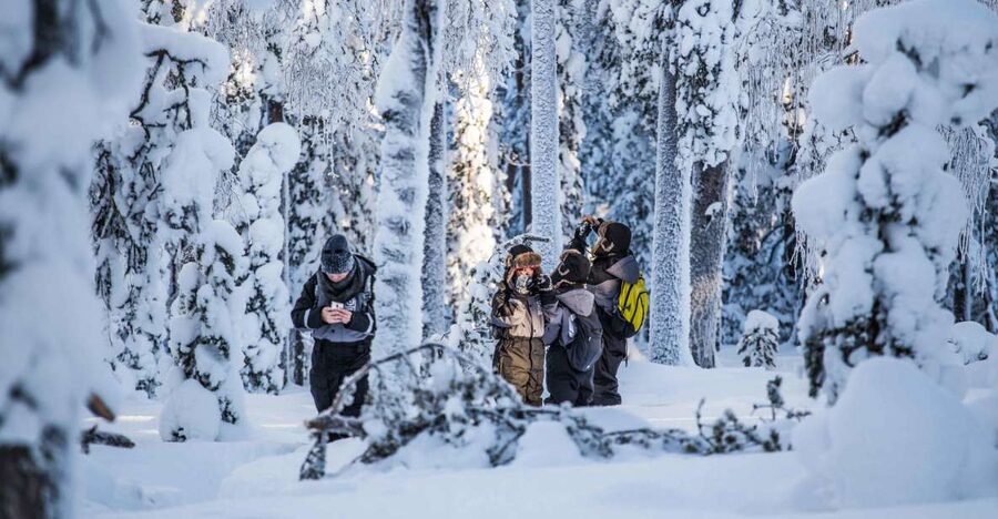 Rovaniemi: Nordic Forest Wilderness Adventure - Booking details that matter