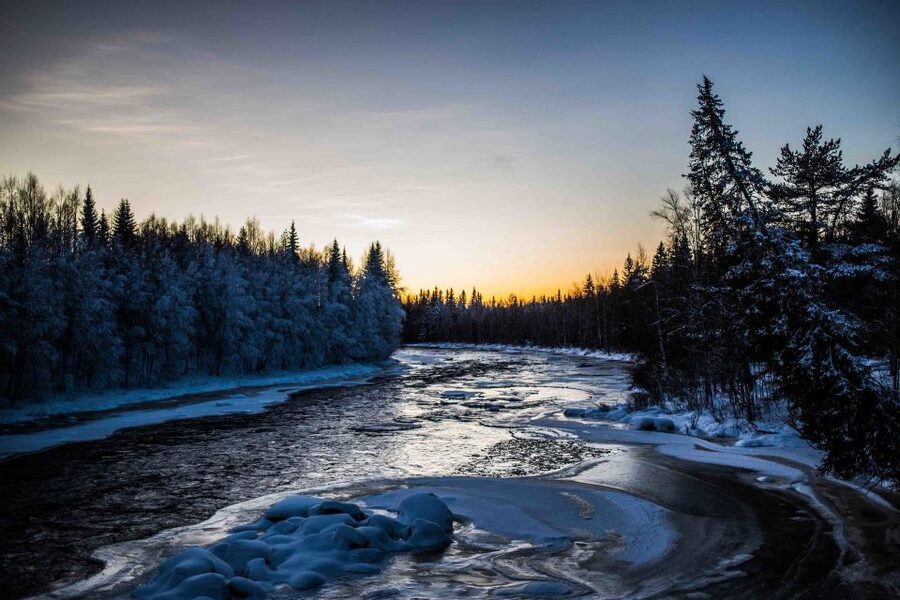 Rovaniemi: Nordic Forest Wilderness Adventure - What the photographer-guide adds