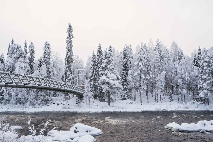 Rovaniemi: Nordic Forest Wilderness Adventure - Is $159 a fair price?