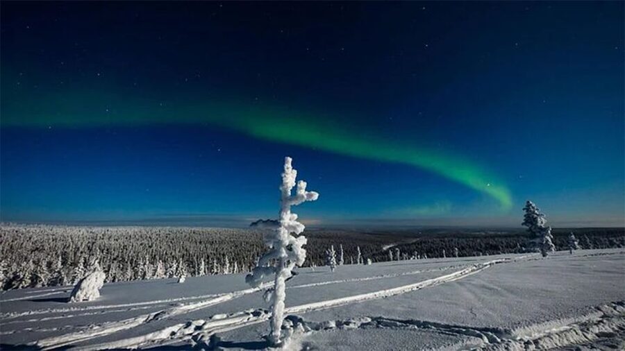 Rovaniemi: Northern Lights and Husky Sleigh Ride - Winter clothing and comfort on the sled
