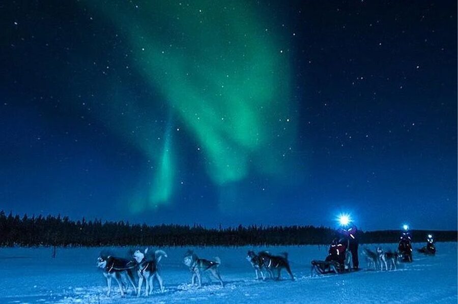 Rovaniemi: Northern Lights and Husky Sleigh Ride - How the $269 price makes sense