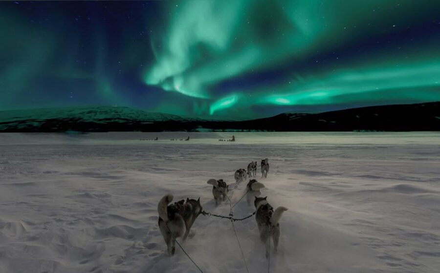 Rovaniemi: Northern Lights and Husky Sleigh Ride - The 5-kilometer husky sleigh ride