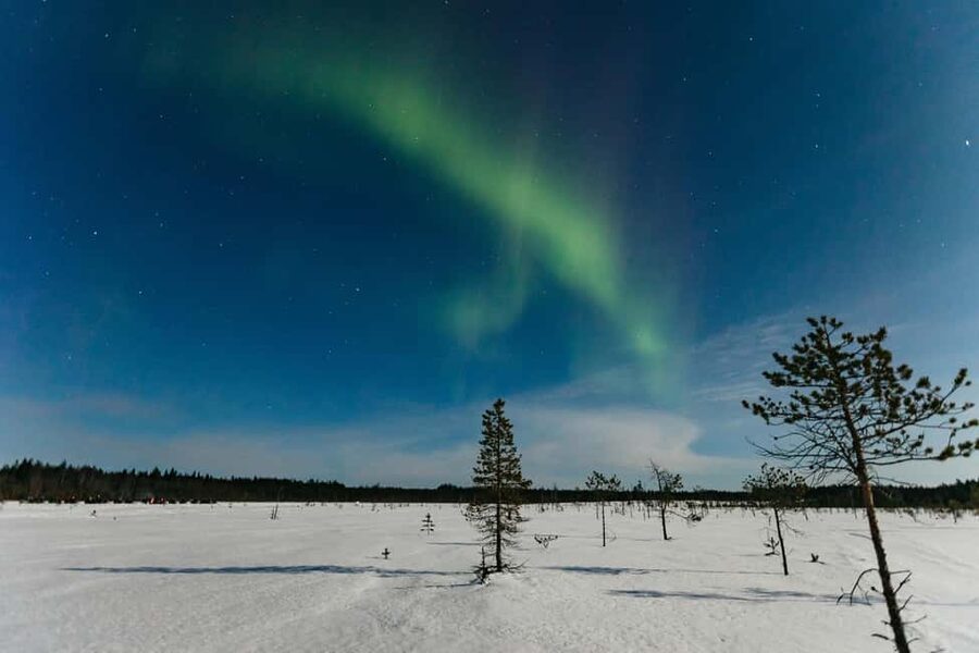 Rovaniemi: Northern Lights Family-Friendly Snowmobile Safari - Key points to know before booking