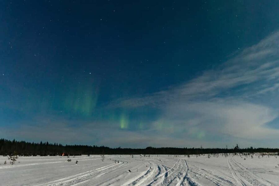 Rovaniemi: Northern Lights Family-Friendly Snowmobile Safari - Hunting for the Northern Lights without false promises