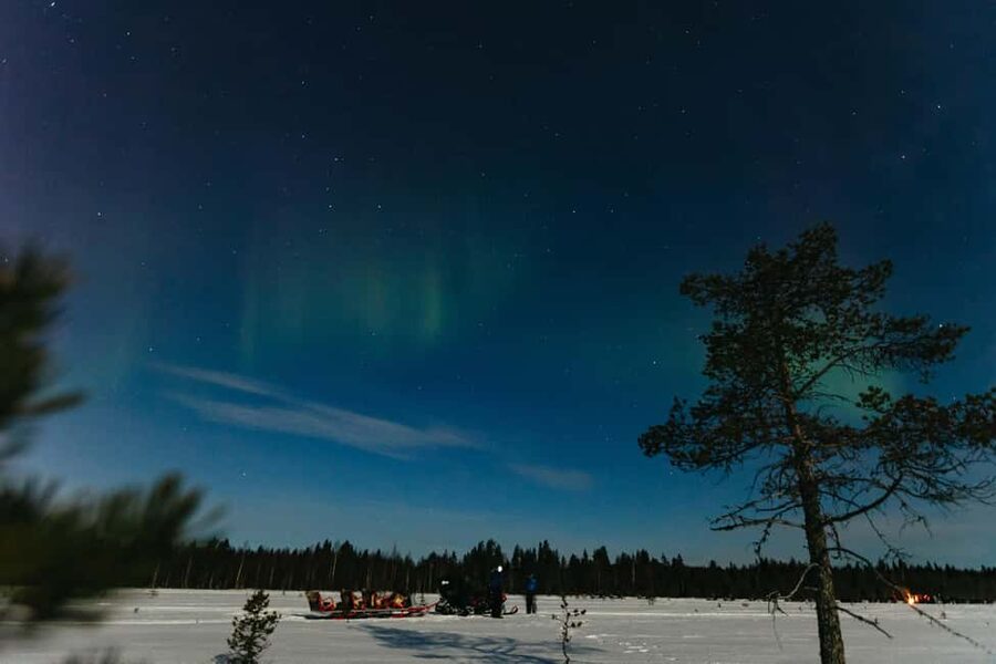 Rovaniemi: Northern Lights Family-Friendly Snowmobile Safari - Who will enjoy this tour most
