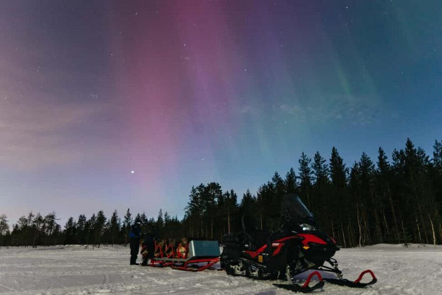 Rovaniemi: Northern Lights Family-Friendly Snowmobile Safari - Through the snowy forest after dark