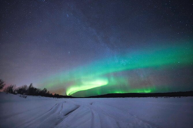 Rovaniemi: Northern Lights Group Tour - Guaranteed View - Campfires, hot juice, and the cold
