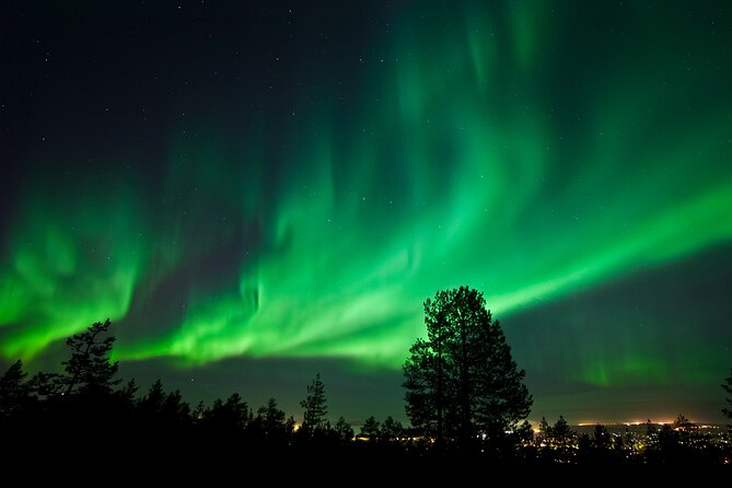 Rovaniemi: Northern Lights Group Tour - Guaranteed View - Cancellation, timing, and practical planning