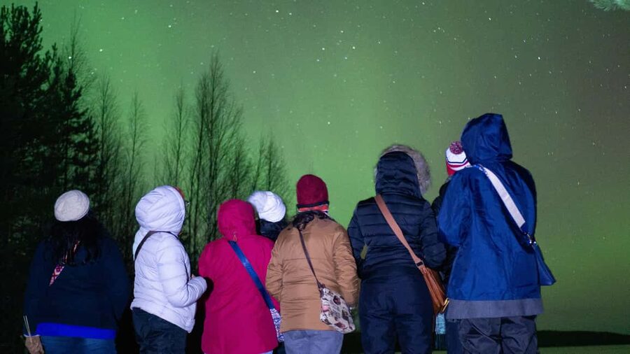 Rovaniemi: Northern Lights Guided Tour with Pro Camera - The guide can shape the whole evening