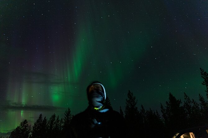 Rovaniemi: Northern lights money back tour - Comfort, transport, and the practical details