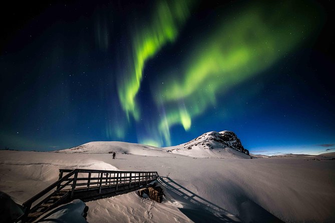 Rovaniemi Northern Lights Photography Small-Group Tour - The first stop is chosen for the night