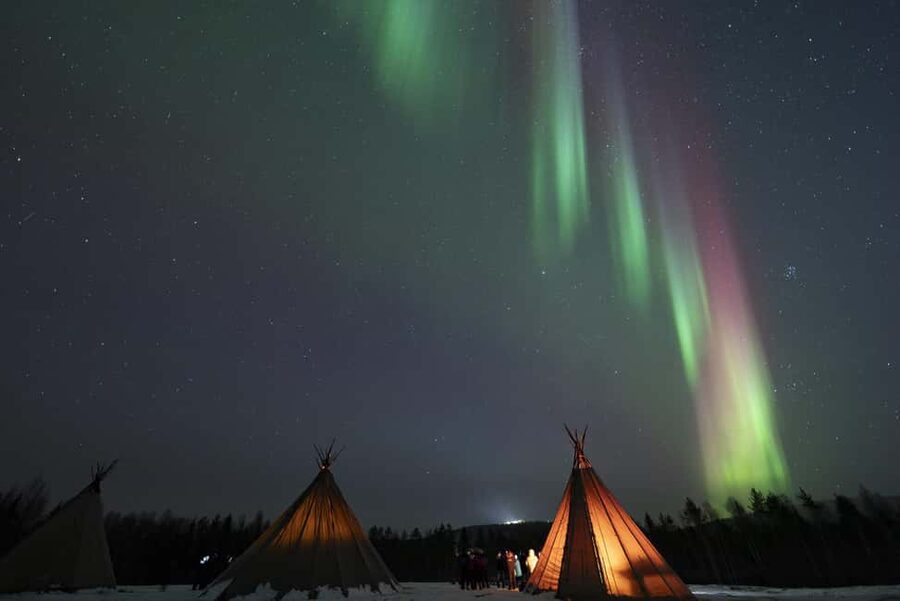 Rovaniemi: Northern Lights Photography Tour & BBQ - Who will enjoy this tour most?
