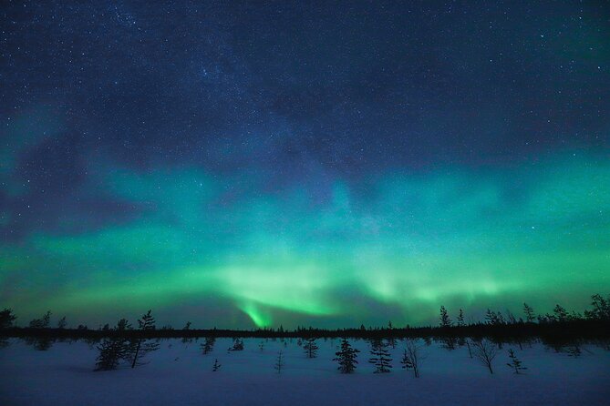 Rovaniemi: Northern Lights Pro Guaranteed - Unlimited Distance - Keeping warm during a four to twelve-hour night