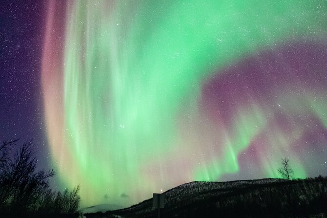Rovaniemi: Northern Lights Pro Guaranteed - Unlimited (PRIVATE) - Your 7:00 pm start in Rovaniemi