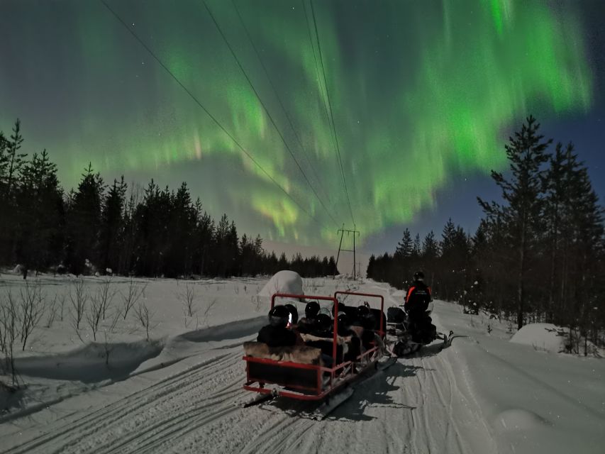 Rovaniemi: Northern Lights Sledge Ride - Who will enjoy this Rovaniemi outing?
