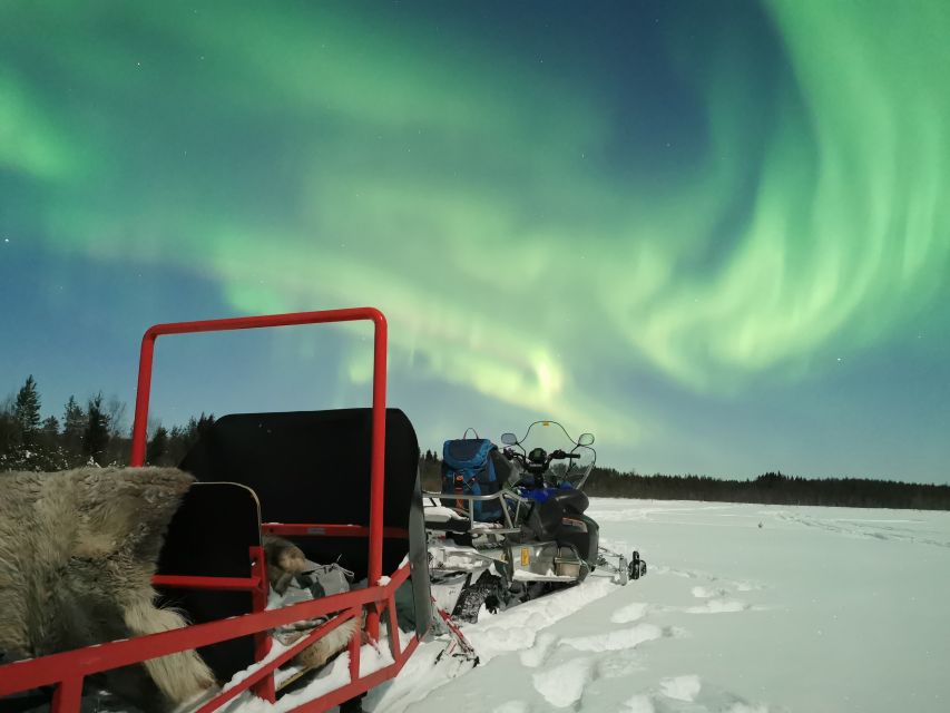 Rovaniemi: Northern Lights Sledge Ride - Should you book the sledge ride?