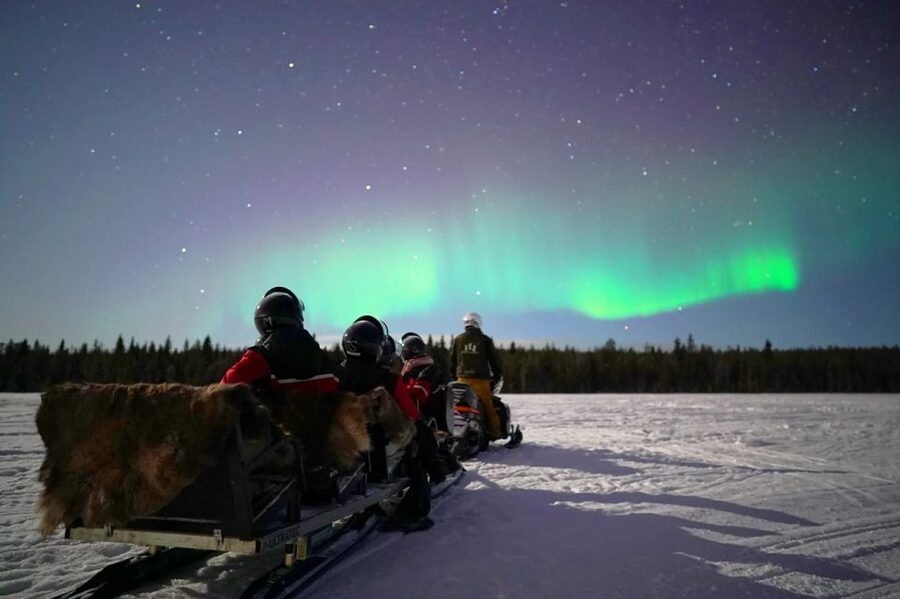 Rovaniemi: Northern Lights Sleigh Ride - What $58 buys you