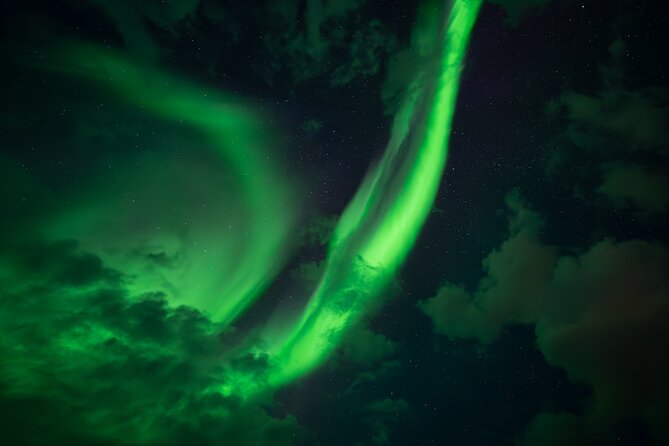 Rovaniemi: Northern Lights Small Group Money-Back Guarantee - Who should choose this Rovaniemi tour