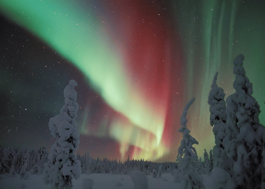 Rovaniemi: Northern Lights Snowmobile Safari with Campfire - A campfire stop with berry juice and local sausage
