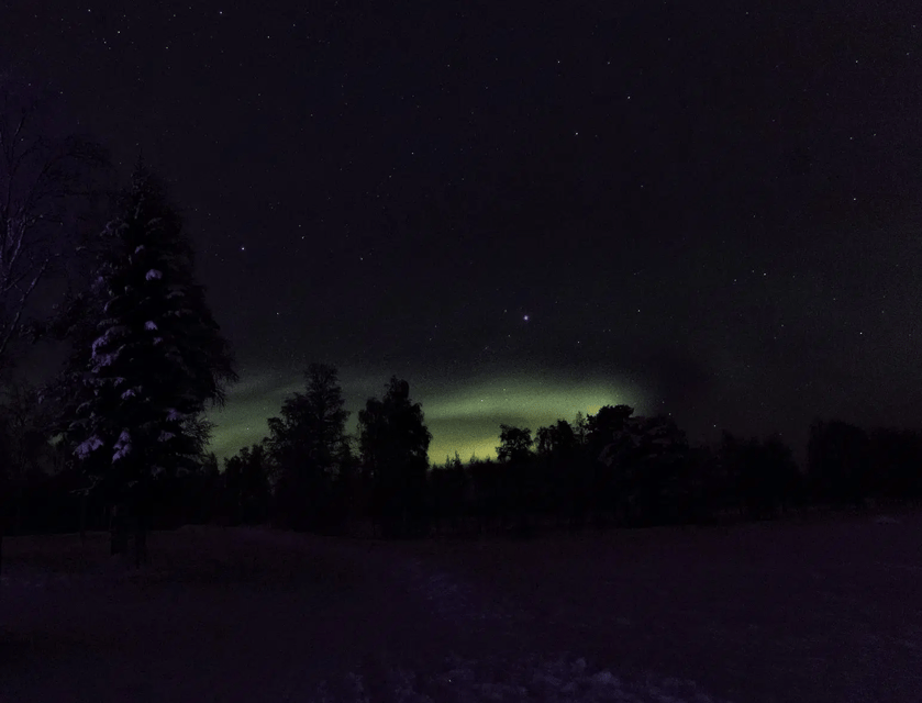 Rovaniemi: Northern Lights Snowmobile Safari with Campfire - The snowmobile route, from forest tracks to river ice