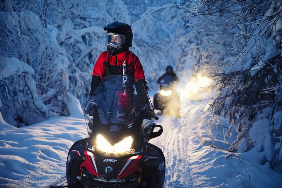 Rovaniemi: Northern Lights Snowmobile Tour - Group size, pickup, and the value of $218