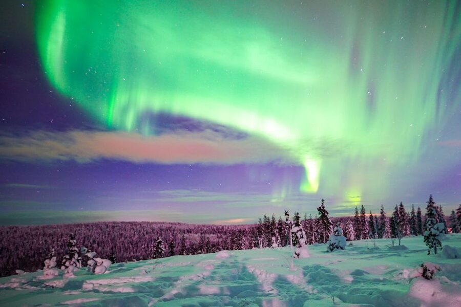 Rovaniemi: Northern Lights Snowmobile Tour - What the snowmobile ride is really like