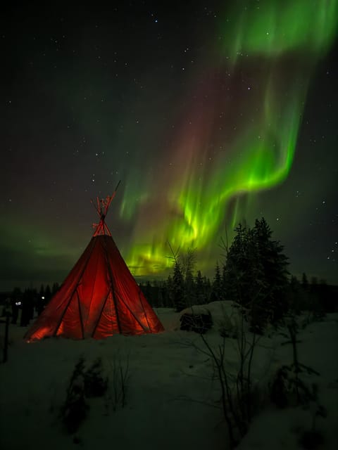 Rovaniemi: Northern Lights Tour at the Campfire - FAQ