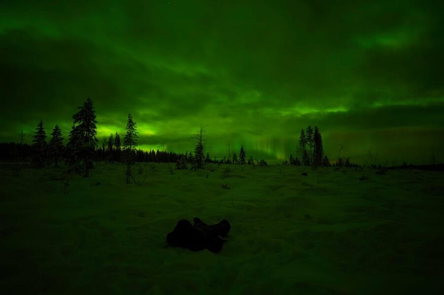 Rovaniemi: Northern Lights Tour at the Campfire - A 100-minute campfire under the Aurora